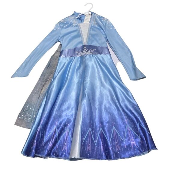 Disney Frozen Blue and Silver Costume - Picture 1 of 4